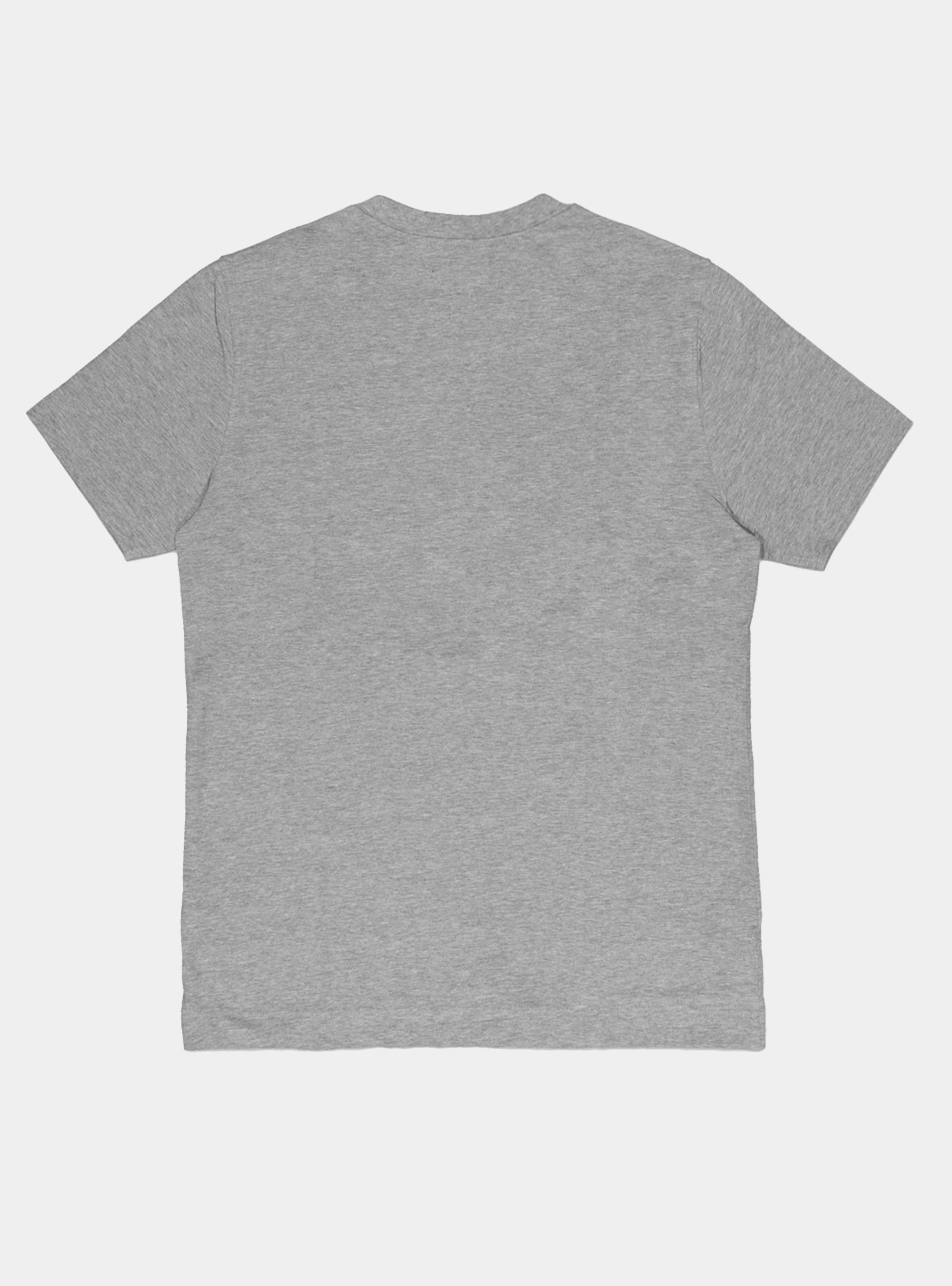 Tshirt in jersey di cotone tinta unita, GRIGIO 0120C