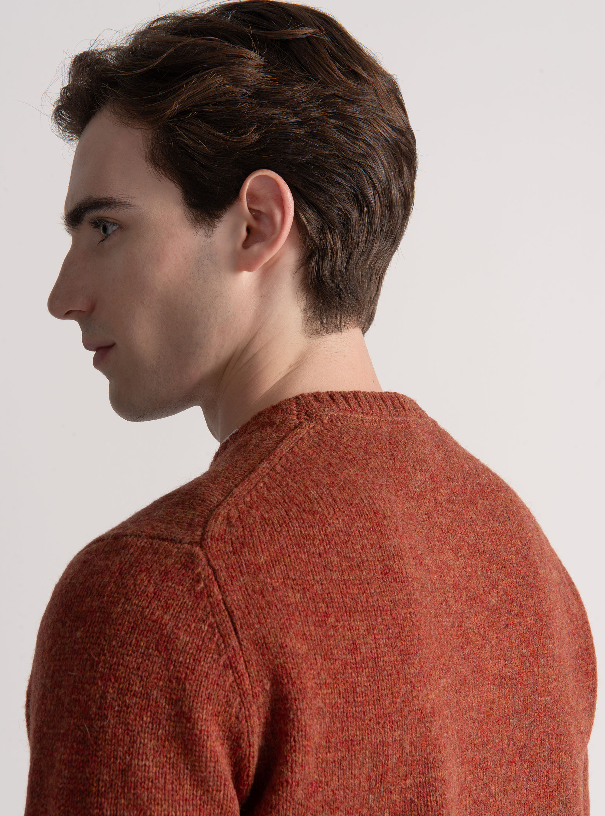 Maglia girocollo in lana shetland, COCCIO