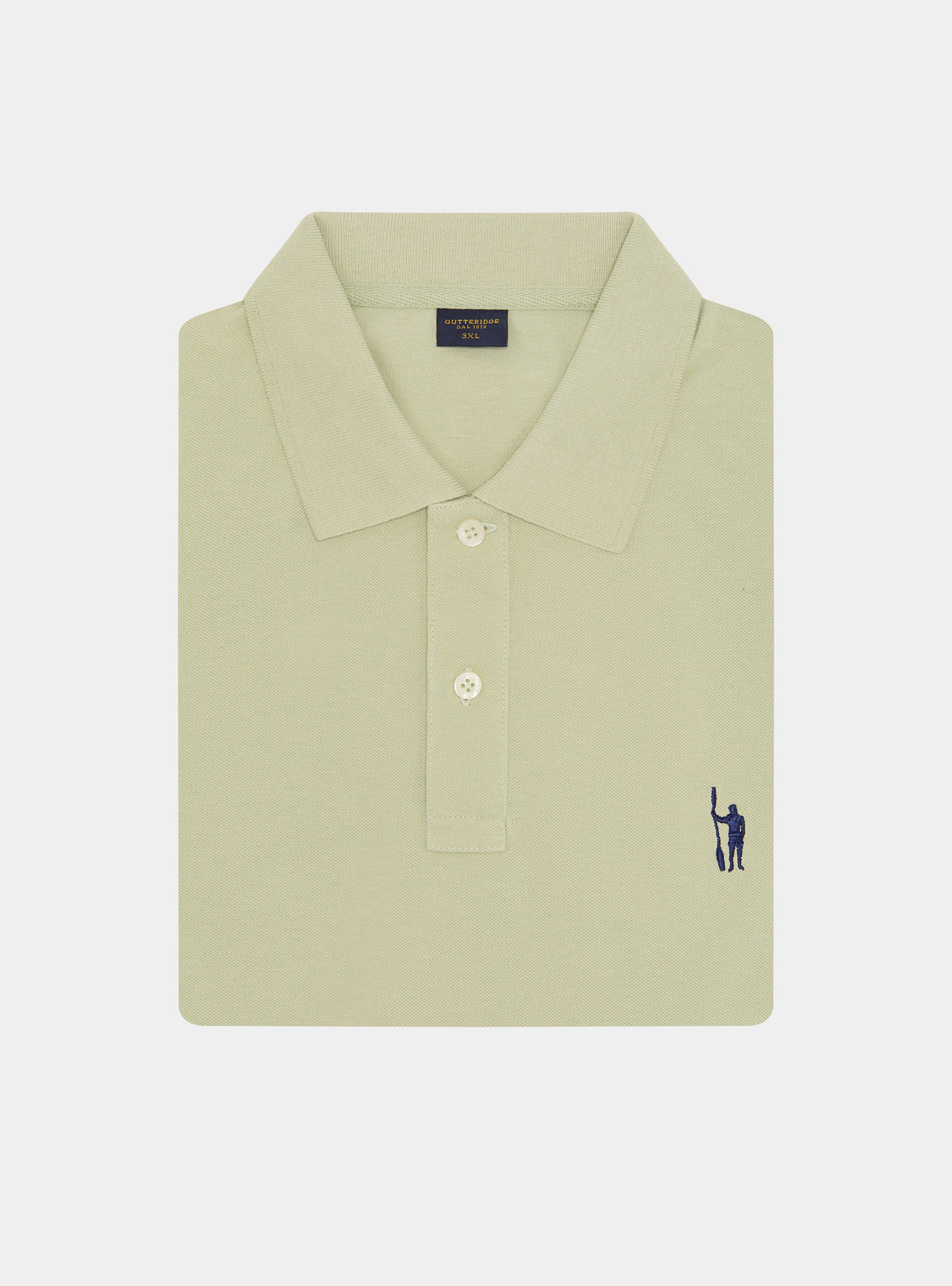 Klassisches Piqu&eacute;-Poloshirt, VERDE CHIARO 0622C