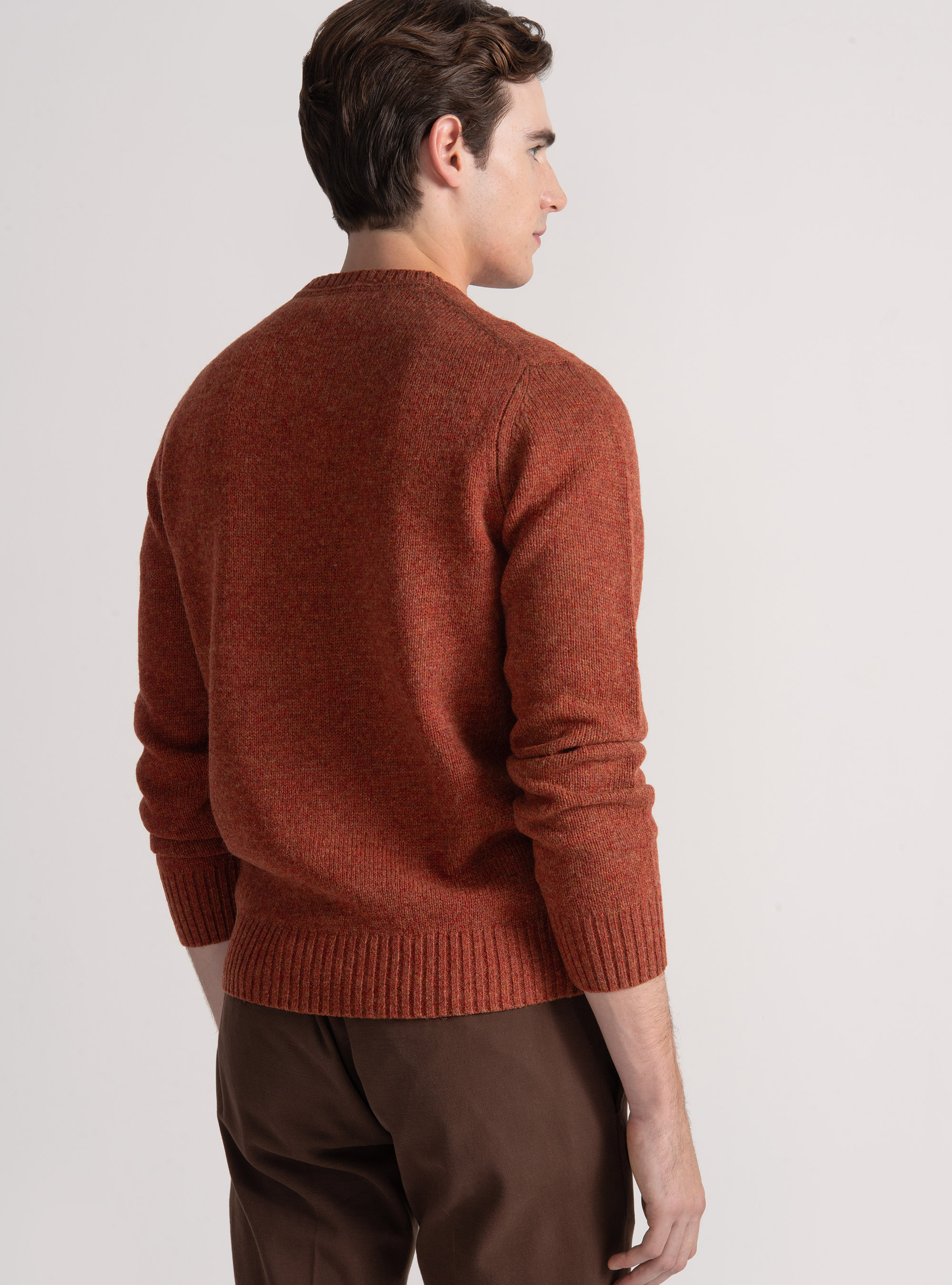 Maglia girocollo in lana shetland, COCCIO