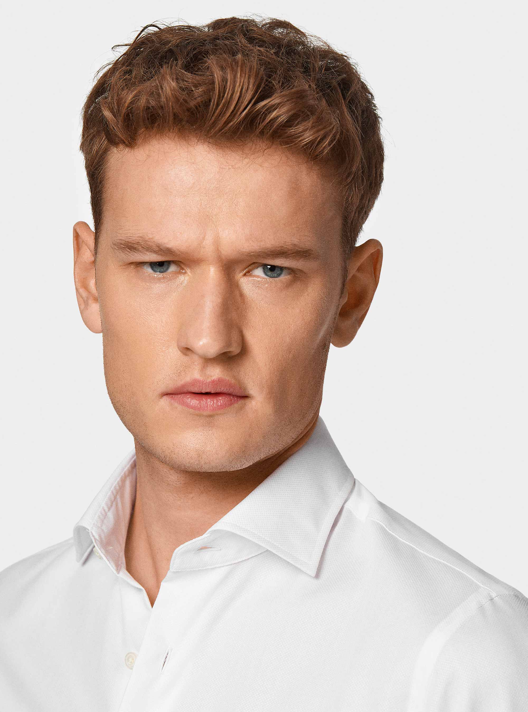 Knitted shirt in pure cotton, WHITE