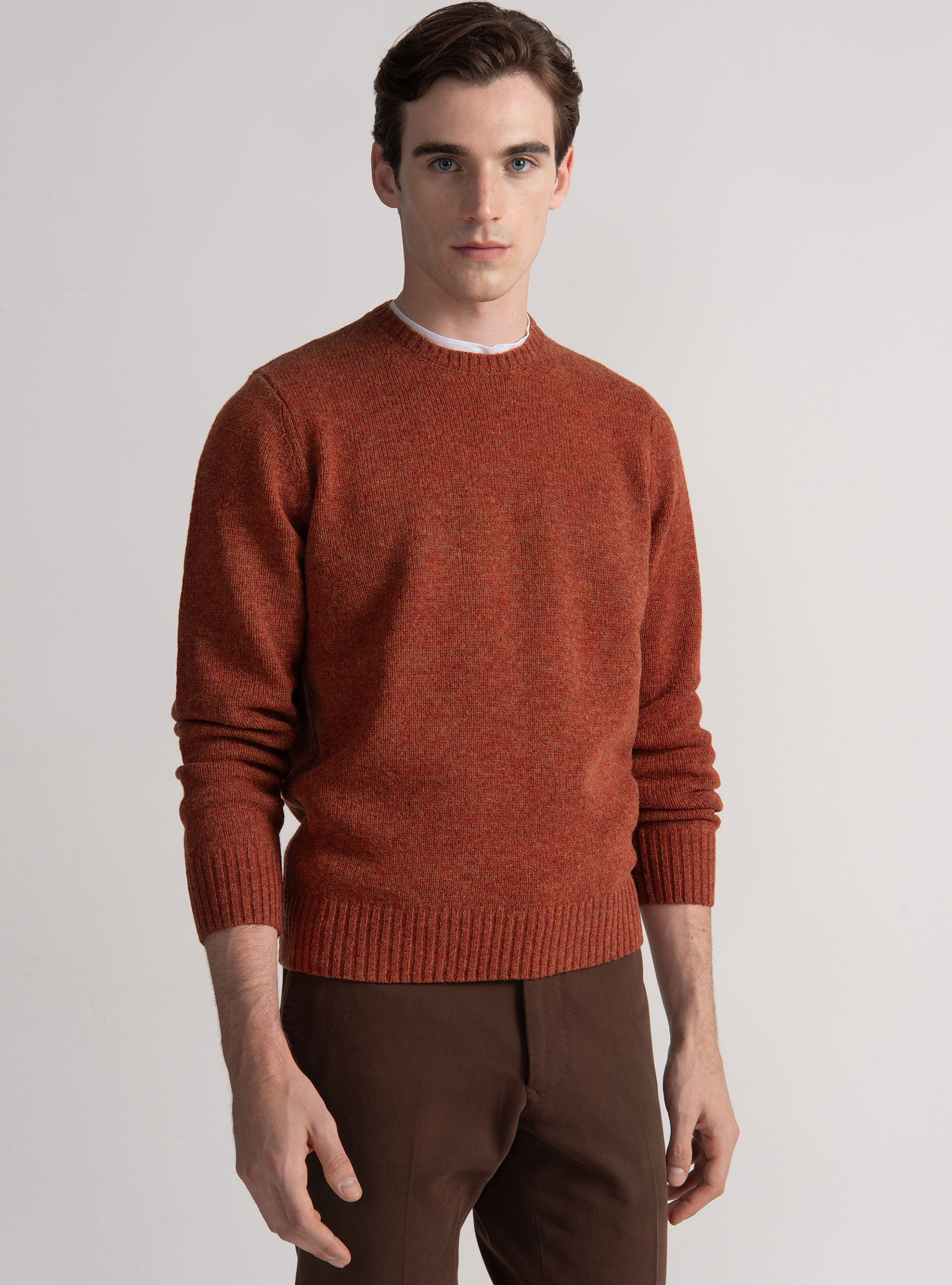 Maglia girocollo in lana shetland, COCCIO