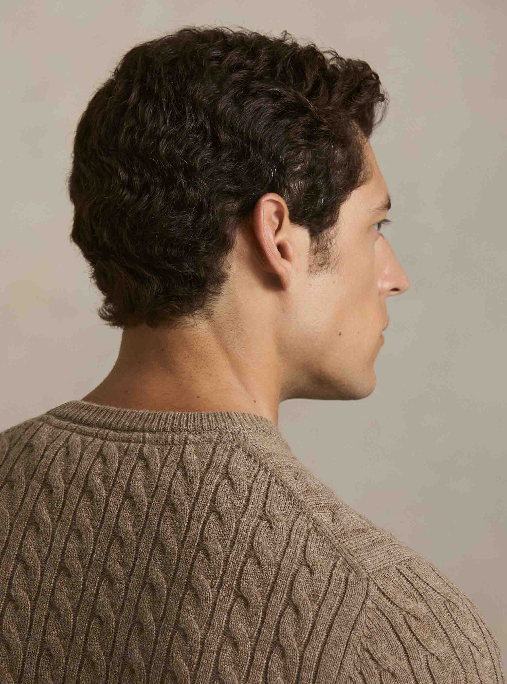 Girocollo in maglia con treccia in lana cashmere, FANGO