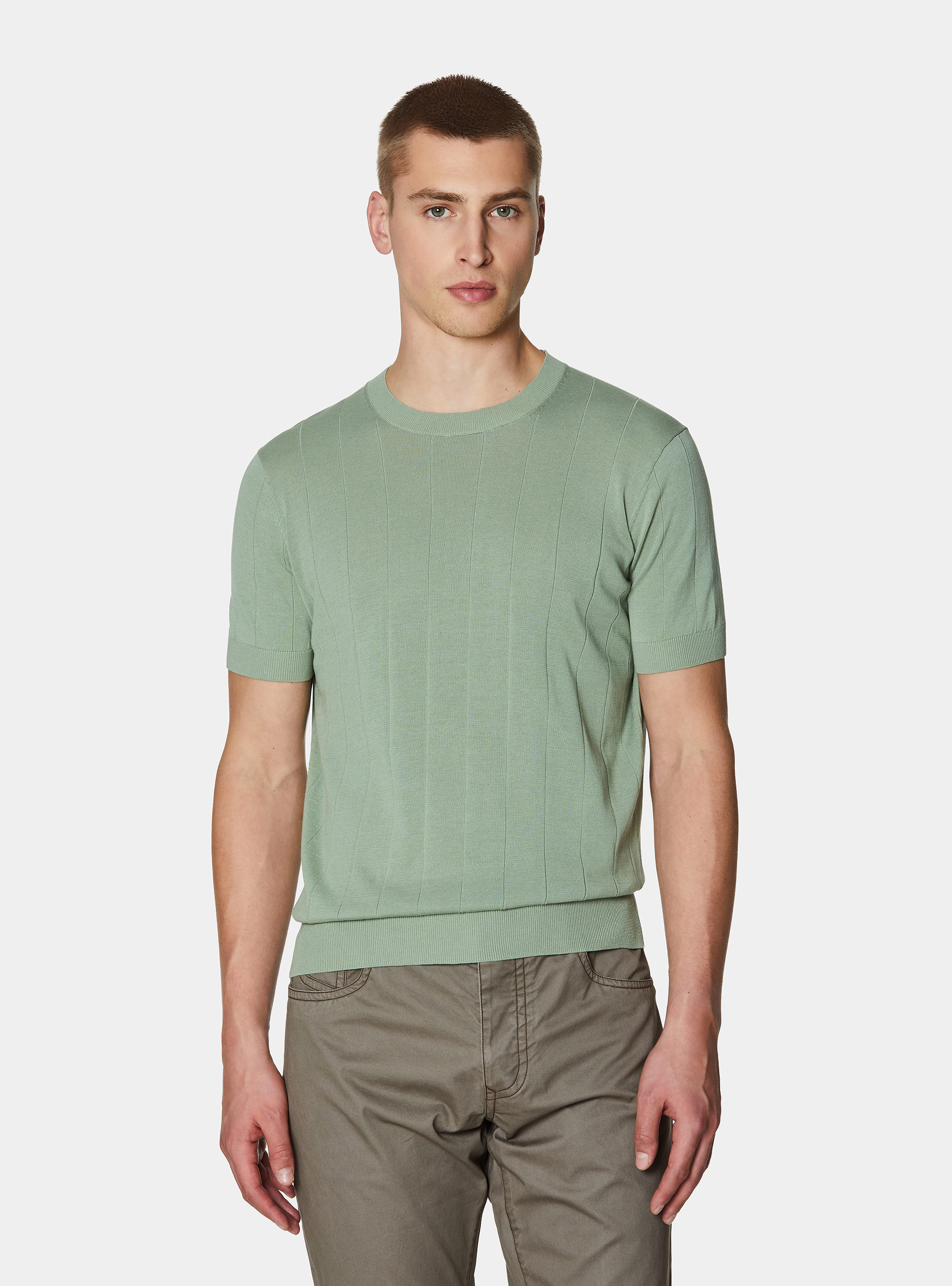 Pure cotton flat-ribbed sweater, SALVIA 0602C