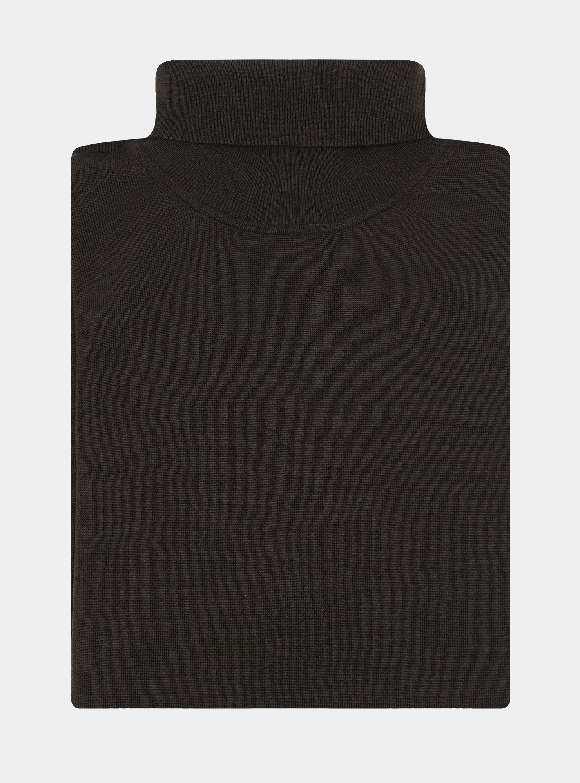 Turtleneck in pure extra-fine merino wool, BROWN