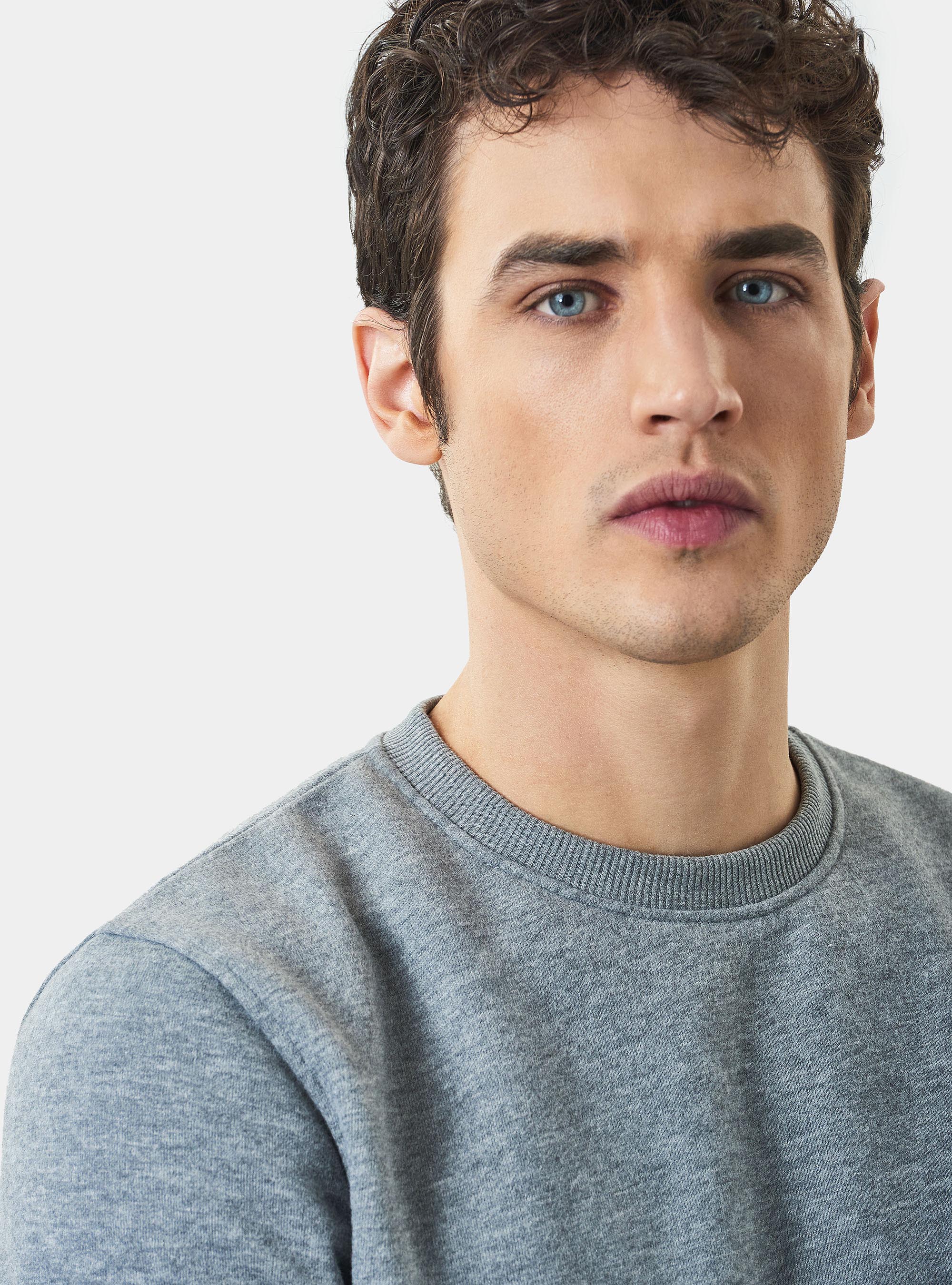 Cotton blend crew neck sweatshirt, GREY