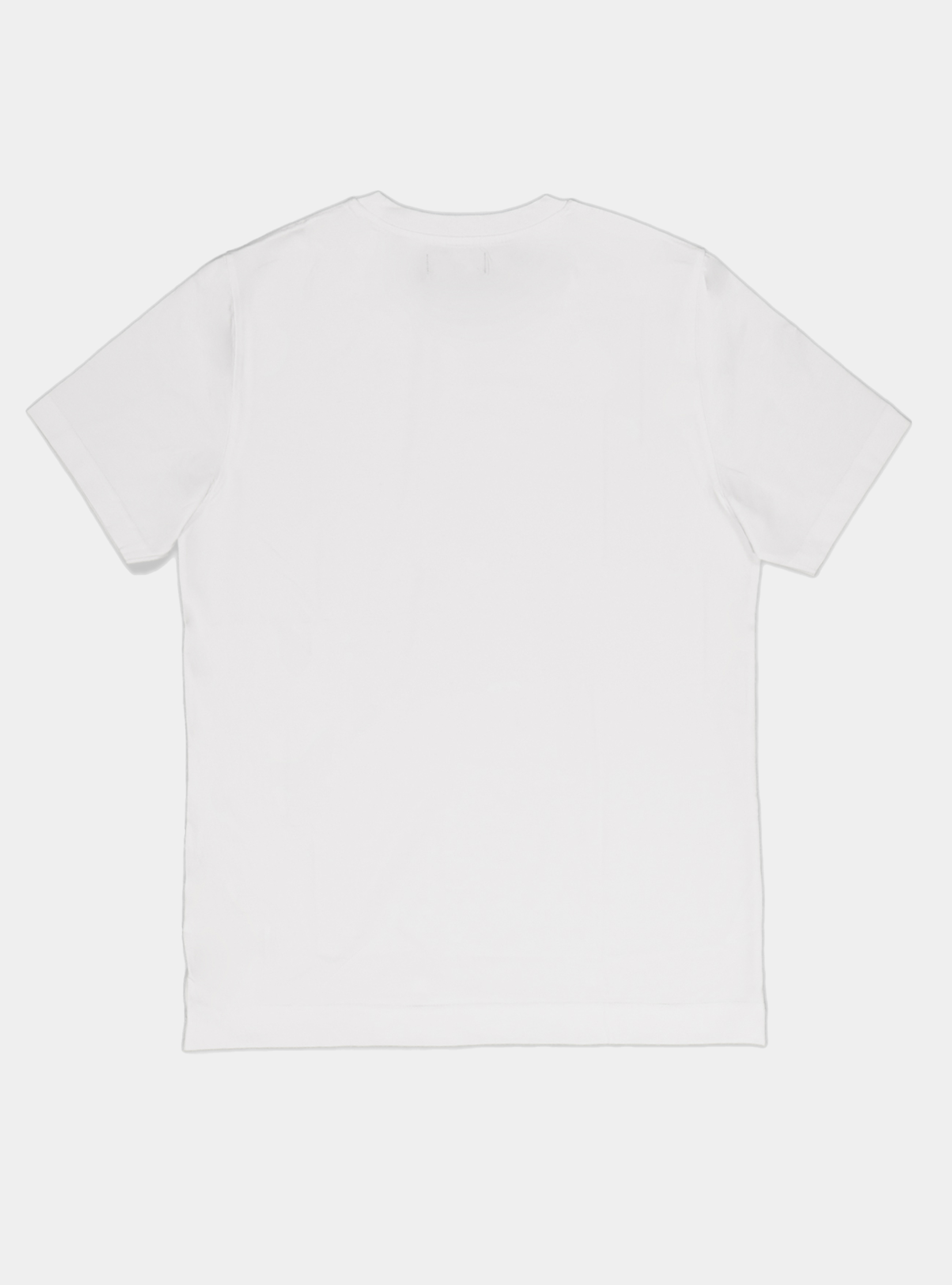 Tshirt in jersey di cotone tinta unita, BLANC